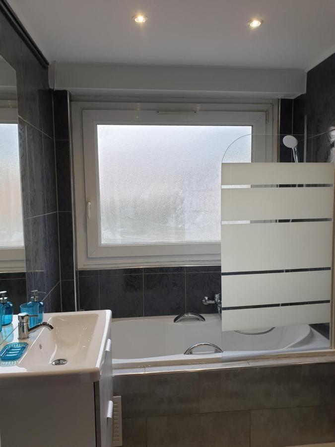 Appartement La Roseraie Proche Centre/Gare Metz Exterior foto